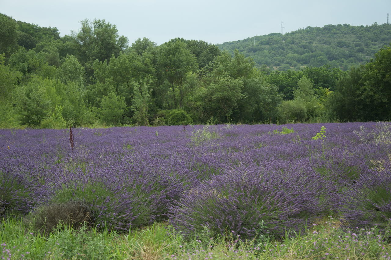 Bed and Breakfast La Feniere Venejan Екстер'єр фото