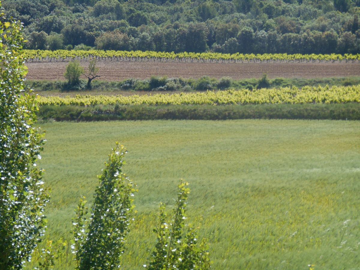 Bed and Breakfast La Feniere Venejan Екстер'єр фото